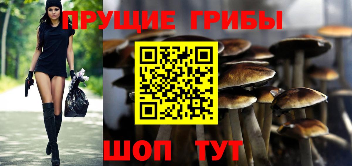 Галлюциногенные грибы Cubensis Приморско-Ахтарск